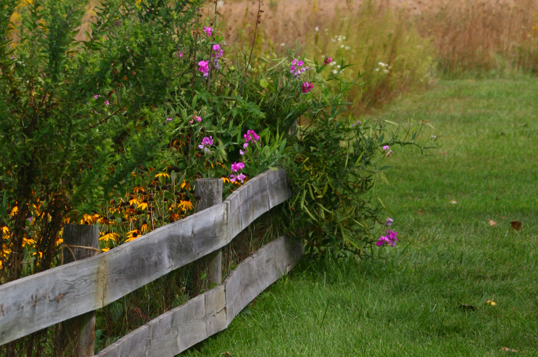 bordure_de_jardin_faite_en_bois